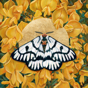 hera buckmoth yellow flower wall art