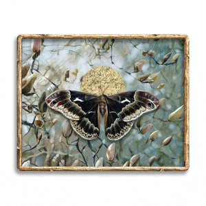 Incantation black moth magnolia art print