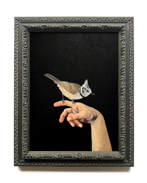 Framed artistic depiction of a bird perched on a hand against a black background by Danny Schreiber