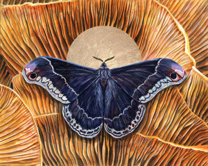 'Integrity' promethea black moth jack o'lantern mushroom art print