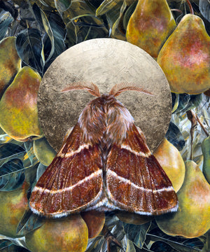 "Into the All" Western Tent Moth Painting