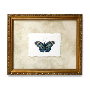 janetta themis forester butterfly painting on paper in gold frame