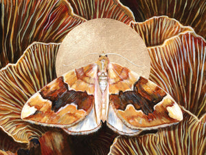 barred yellow moth mushroom art print 30x40 inches