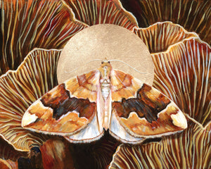 barred yellow moth mushroom art print