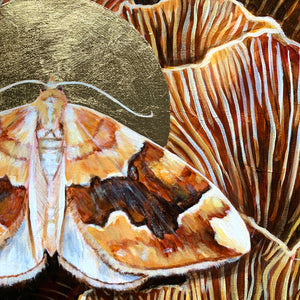 barred yellow moth mushroom painting gold leaf halo detail