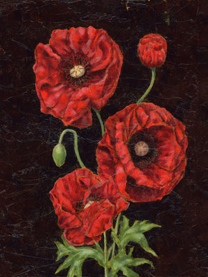 poppy art print 3x4