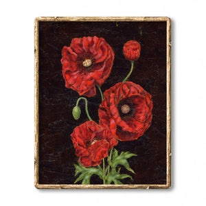 poppy art print
