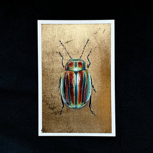 rainbow leaf beetle painting