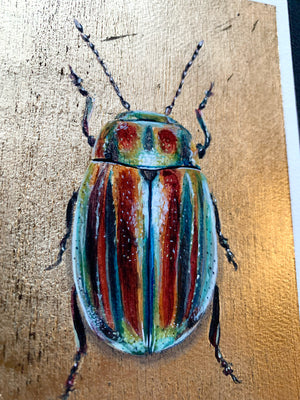 rainbow leaf beetle painting