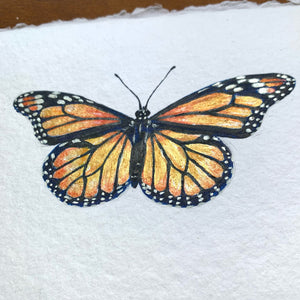 small monarch butterfly painting gold shimmer detail