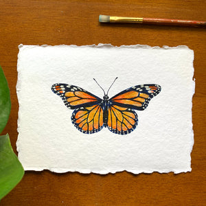small monarch butterfly painting on paper with deckled edges