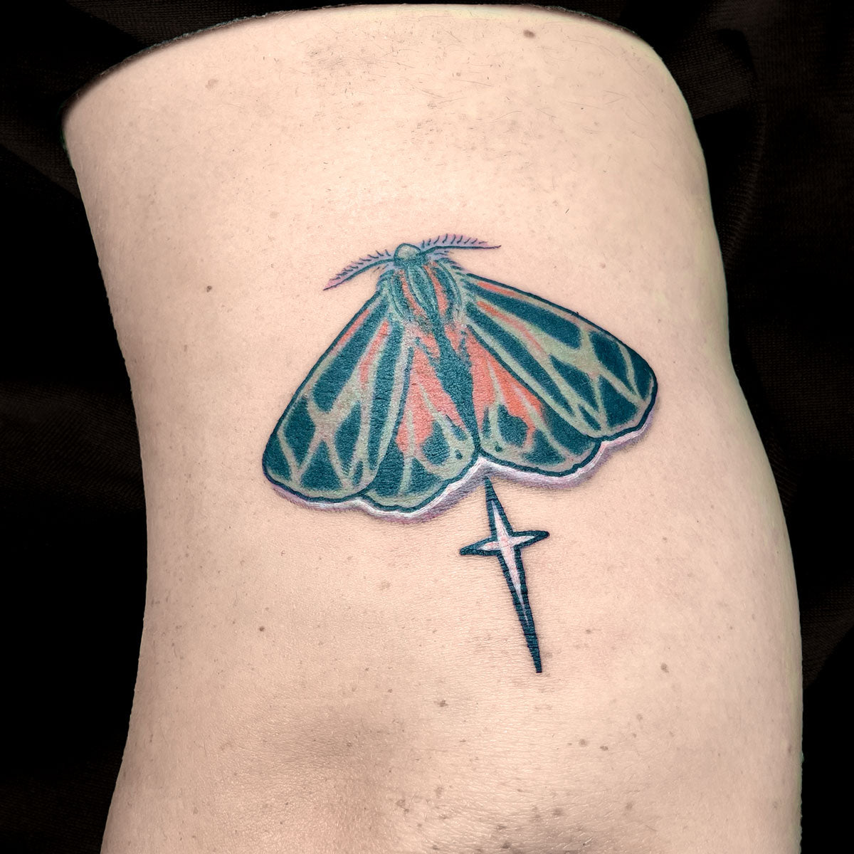 neotraditional moth tattoo by Cass Brown