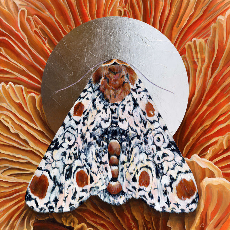 moth art by Aimee Schreiber