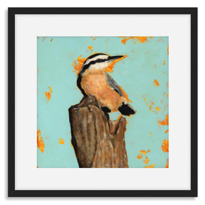 nuthatch bird art print in black frame
