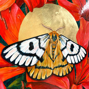 nuttall's sheep moth painting gold leaf detail