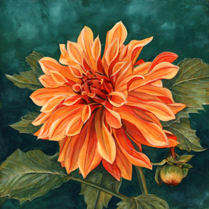 orange dahlia art print, dahlia painting reproduction