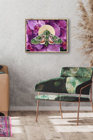 pacific green sphinx moth orchid art print wall