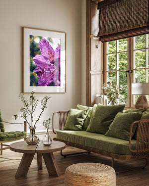 purple flower art rhododendron wall art