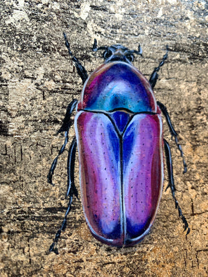 purple jewel beetle aether element painting gold leaf