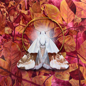 recollection large white moth painting with pink and yellow leaves with 24K gold