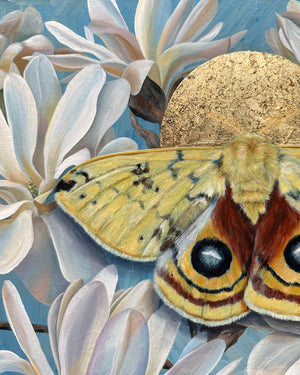 Yellow io moth and star magnolia painting with gold leaf detail