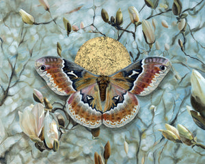 Reverberation tuliptree silkmoth magnolia painting with gold leaf and blue background by Aimee Schreiber
