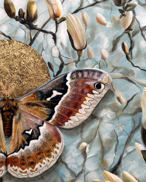 Reverberation tuliptree silkmoth magnolia painting with gold leaf detail