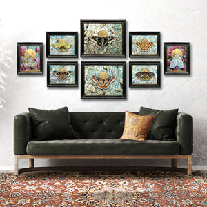 reverberations collection of symbolic moth magnolia paintings by Aimee Schreiber