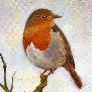 robin embellished print texture detail