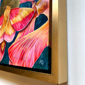 rosy maple moth painting gold float frame