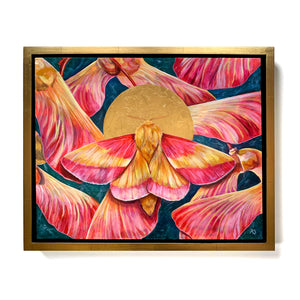 rosy maple moth painting pink and yellow