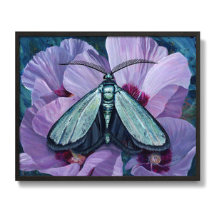 "Tranquility" Satin Forester Moth Art Print