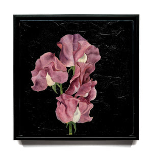 sweet pea flower painting