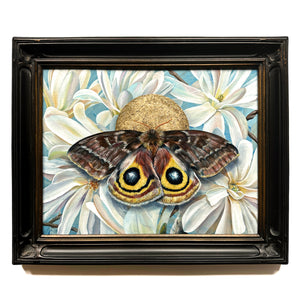 io moth with star magnolia and gold leaf painting in black frame