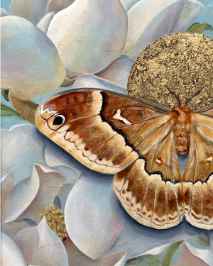 detail of sweetbay silkmoth magnolia painting with gold leaf