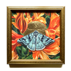 'Thrive' cerulean looper moth embellished canvas print