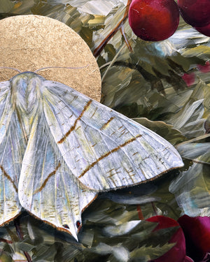 "To Flourish" Swallow-tailed Moth Painting
