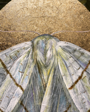 "To Flourish" Swallow-tailed Moth Painting