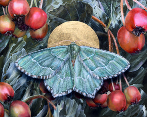 "To Nourish" Common Emerald Moth Painting