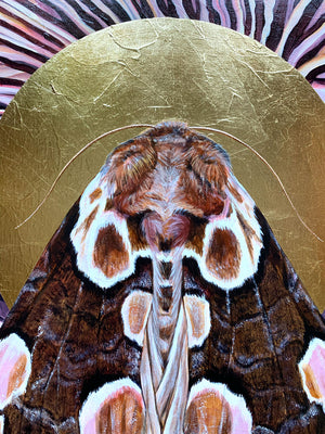 'Together' moth purple mushroom painting with gold leaf halo