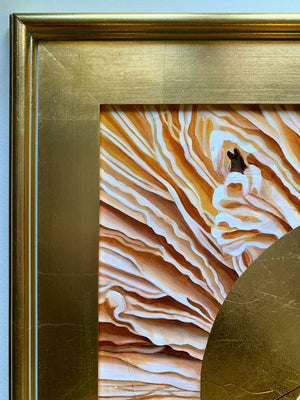 moth mushroom gill painting detail
