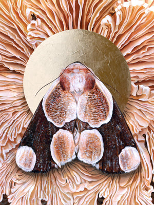 'Totality' Mushroom moth art print 30 x 40 inches