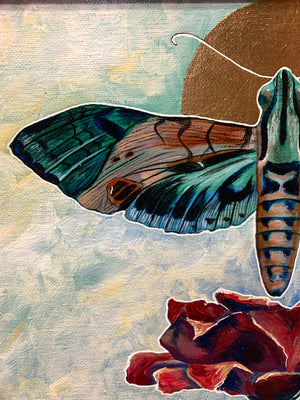 "Transcend" Framed Acrylic Hawk Moth Painting 11x14