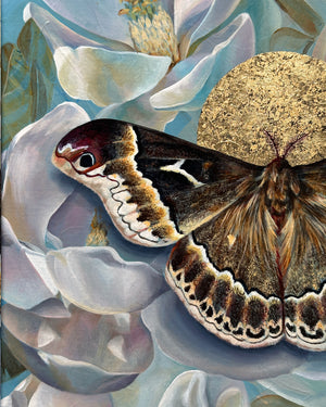 sweetbay silkmoth magnolia painting with gold leaf detail