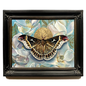 sweetbay silkmoth magnolia painting with gold leaf in black frame
