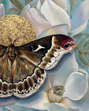 sweetbay silkmoth magnolia painting with gold leaf detail