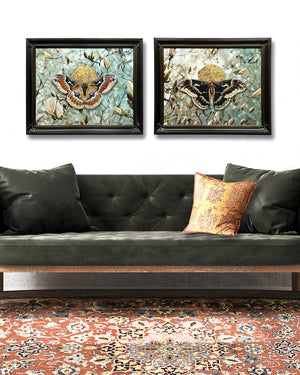 pari of tuliptree silkmoth paintings by Aimee Schreiber