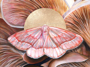 'Unity' barred red moth and oyster mushroom art print 30x40