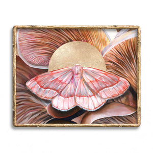 'Unity' barred red moth and oyster mushroom art print