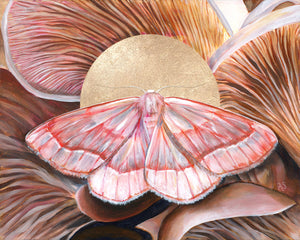'Unity' barred red moth and oyster mushroom art print